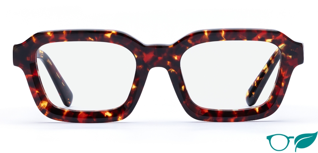 Finlay Dark Tortoise glasses front