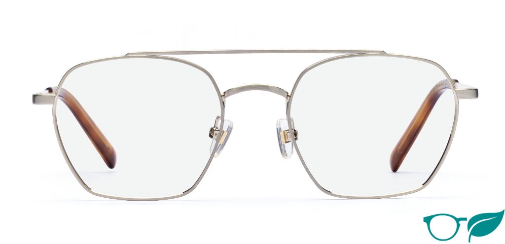 Harrison Brushed Gold glasses front