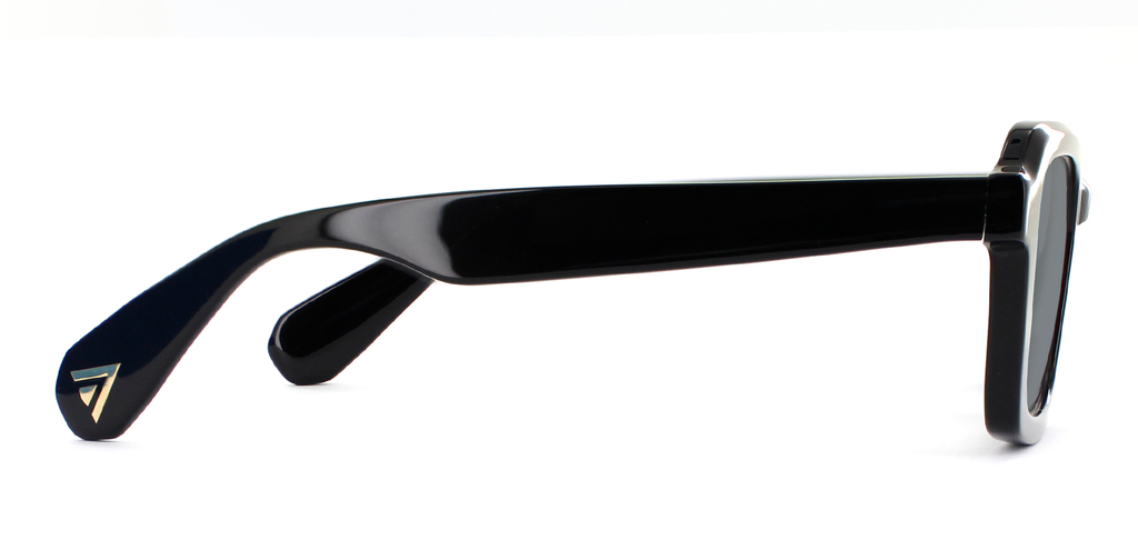 Marshall Sunglasses in Black