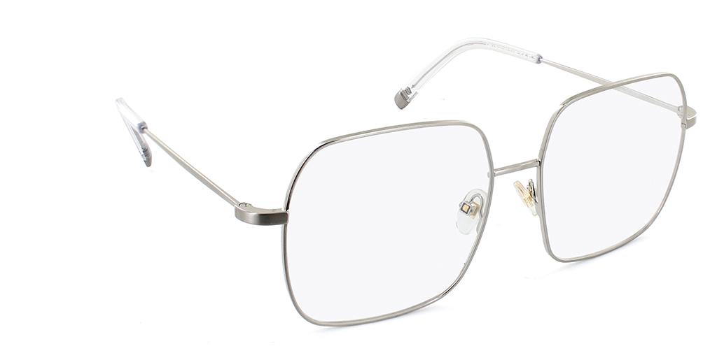 Rae Brushed Silver Glasses Angle