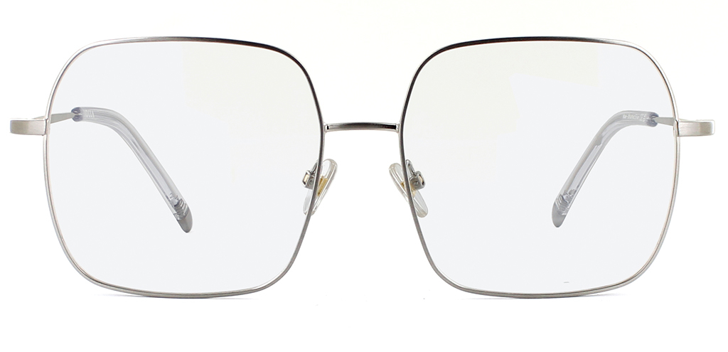 Rae Brushed Silver Glasses