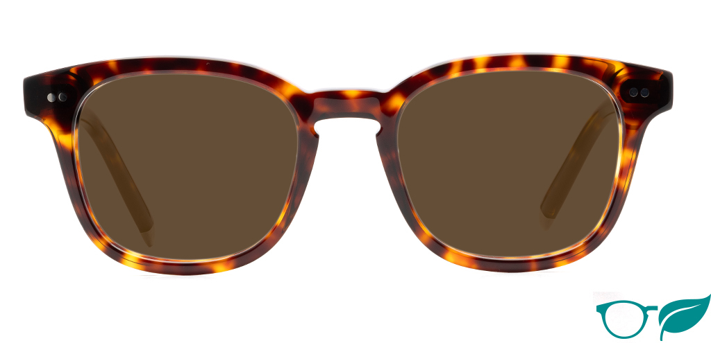 Connolly Deep Havana_Sunglasses_Front-ForWeb