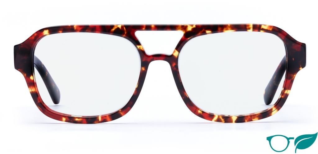 Arran Dark Tortoise Glasses front