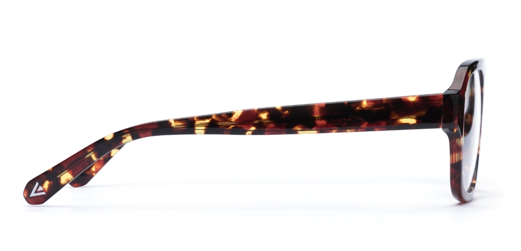 Arran Dark Tortoise Glasses side