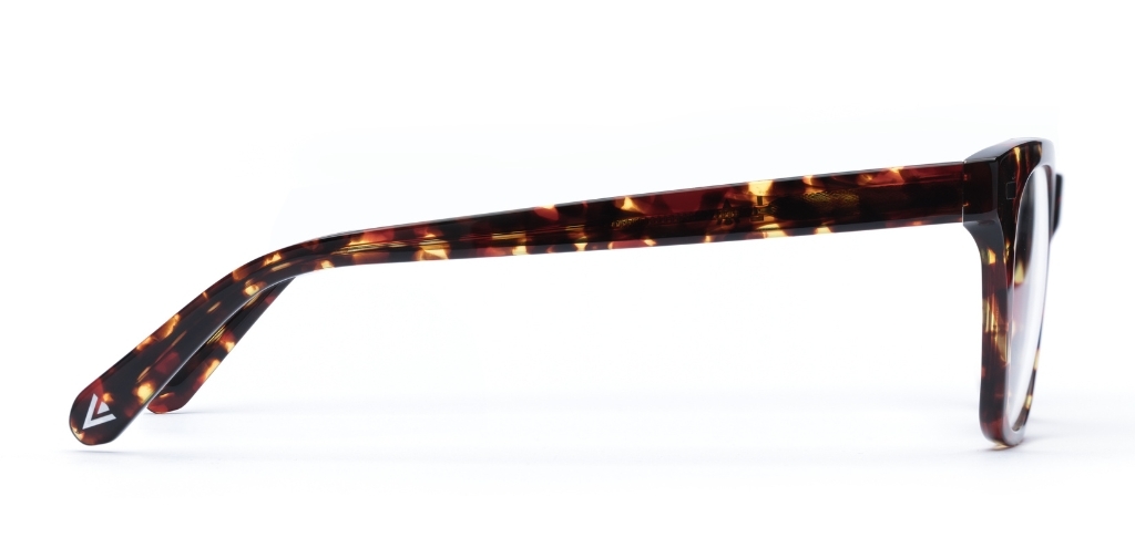 Duncan Dark Tortoise Glasses side