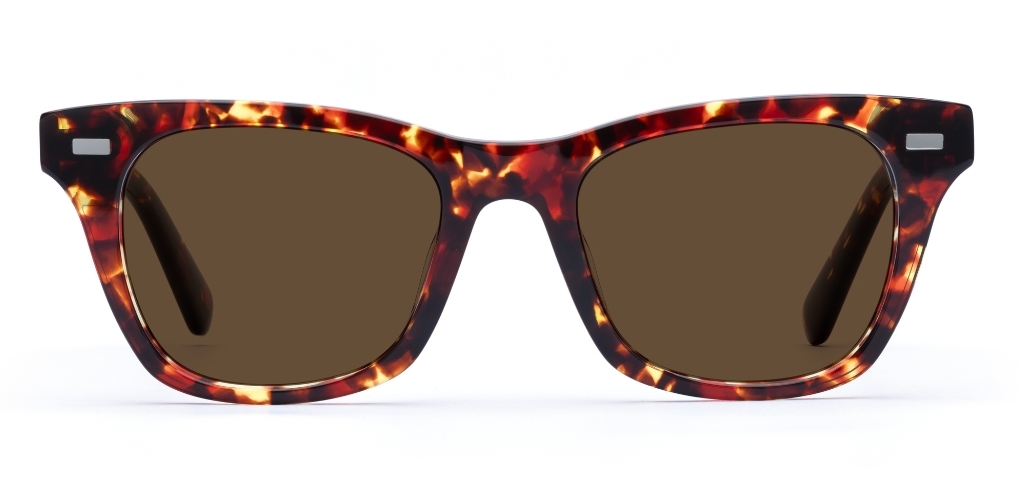 Duncan in Dark Tortoise – Sleek Square Sunglasses | IOLLA