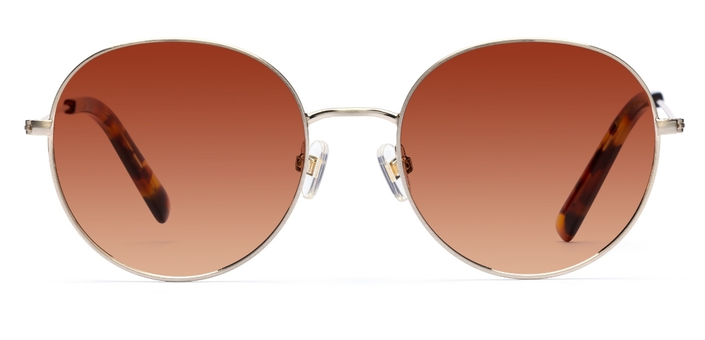 Robertson – Bold Retro Sunglasses | IOLLA
