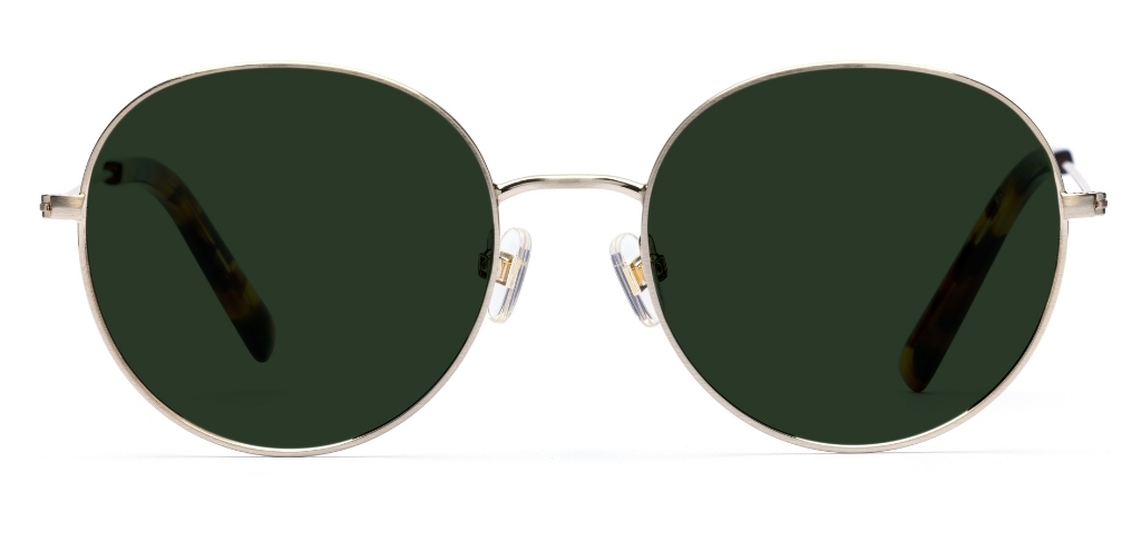 Robertson – Bold Retro Sunglasses | IOLLA