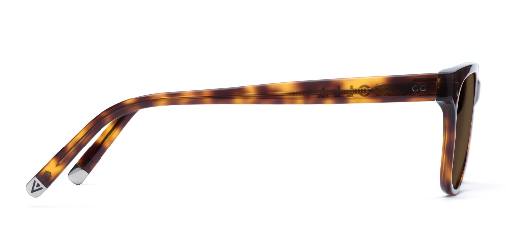 Bruce_Medium Havana_Sunglasses_side_forweb.jpg