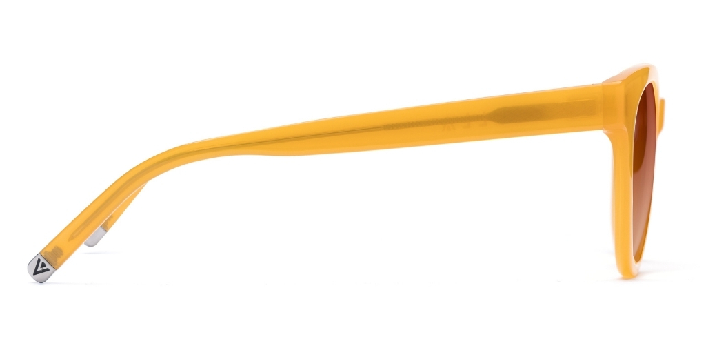 Campbell_Honey_Gradients_side_forweb.jpg