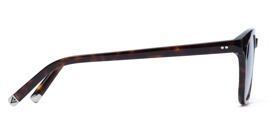 Connolly_Deep Havana_Tint_side_forweb.jpg