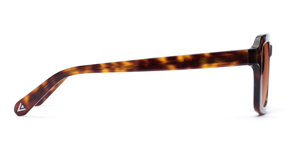 Kelso_MediumHavana_Gradient_side_forweb.jpg