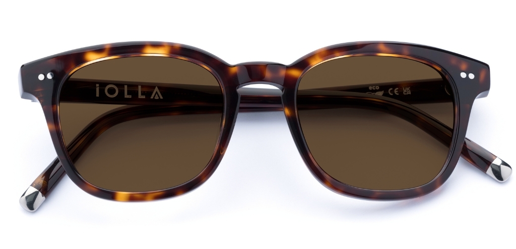 Connolly_Deep Havana_Sunglasses Brown_Folded_forweb.jpg