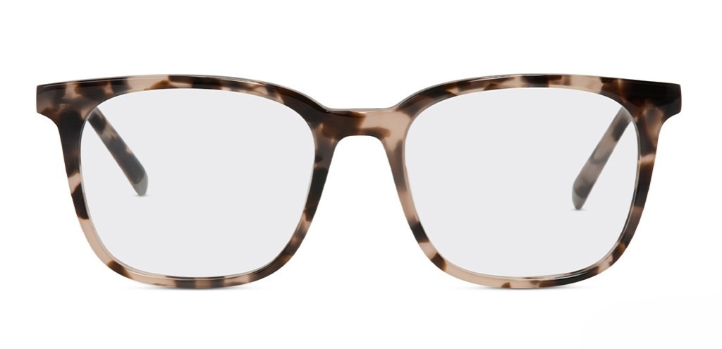 Stewart_vanilla_tortoise_front~_glasses.jpg