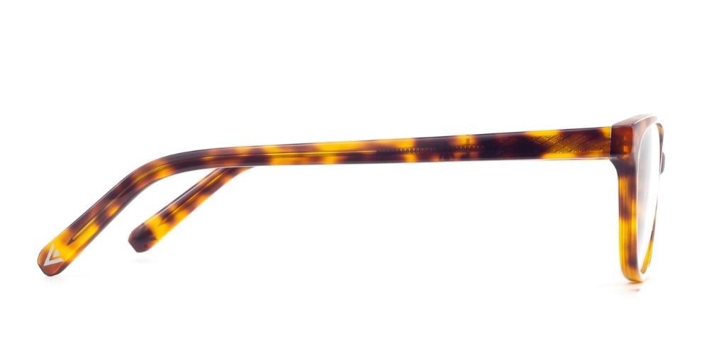 Healey_MediumHavana_Glasses_side 