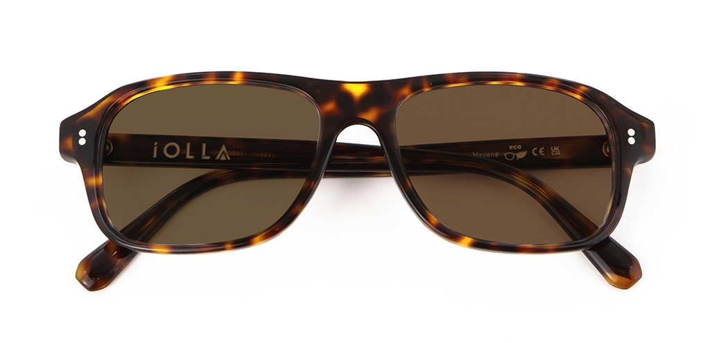 Lachlan Rosewood Stripe with Brown lenses front folded view