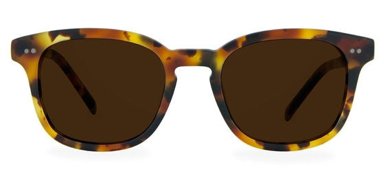 Connolly_Caramel_Tortoise_Front_Sunglasses