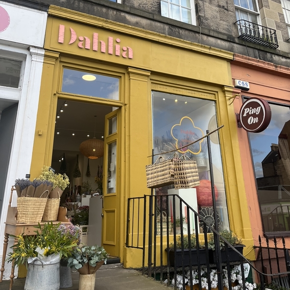 Dahlia plant shop Edinburgh