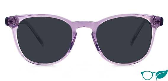 Smith rosewood sunglasses hot sale