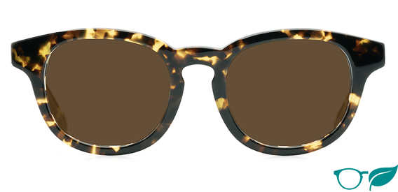 Christie_Classic Tortoise_Sunglasses_Front_forweb_eco