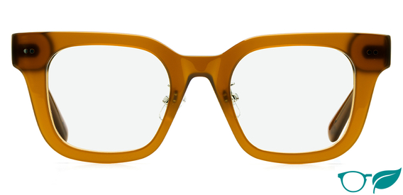 Logan Chocolate_Glasses_Front_for web-eco