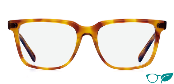 Russell Amber_Glasses_Front_for web-eco