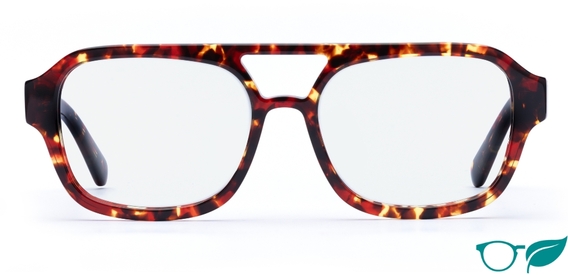 Arran Dark Tortoise Glasses front