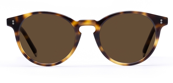 Big Bell_Light Medium Havana_Sunglasses_side_forweb.jpg
