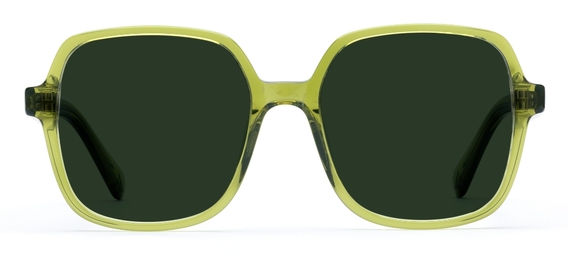 Bonnie in Sage Green – Bold Statement Sunglasses | IOLLA
