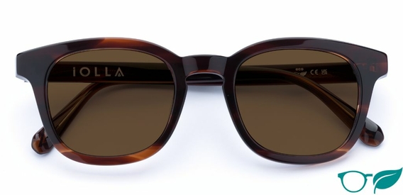 Bute_RosewoodStripe_sunglasses_folded_forweb_eco.jpg