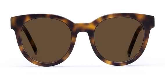 Campbell_Matte Brown_Sunglasses_side_forweb.jpg