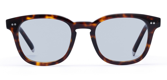 Connolly_Deep Havana_Tint_side_forweb.jpg