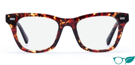 Duncan Dark Tortoise Glasses front