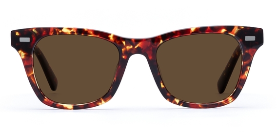 Duncan in Dark Tortoise – Timeless & Bold Sunglasses | IOLLA