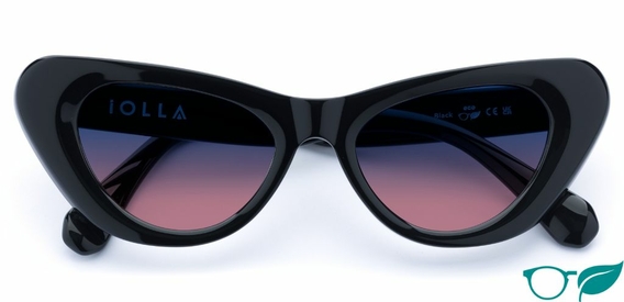 Kelly_Black_Sunglasses_folded_forweb_eco.jpg