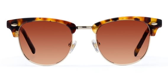 Livingstone II_Caramel Tortoise_Gradient_side_forweb.jpg