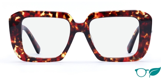 Morven Dark Tortoise glasses front