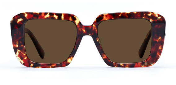 Morven in Dark Tortoise – Timeless Bold Sunglasses | IOLLA