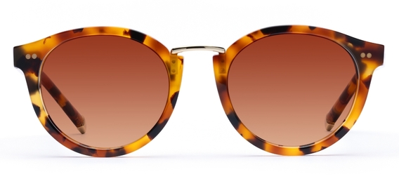 Murray_Caramel Tortoise_Gradient_side_forweb.jpg