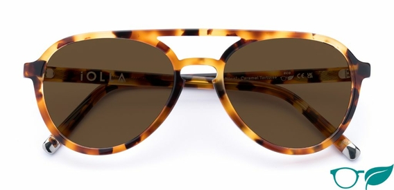 Nicol – Contemporary Aviator Sunglasses | IOLLA