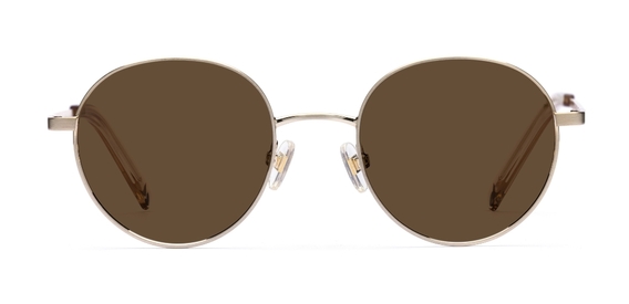 Reid_Brushed Gold_Sunglasses_side_forweb.jpg