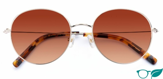 Robertson – Bold Retro Sunglasses | IOLLA