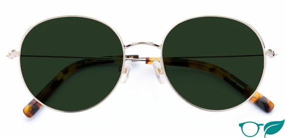 Robertson – Bold Retro Sunglasses | IOLLA