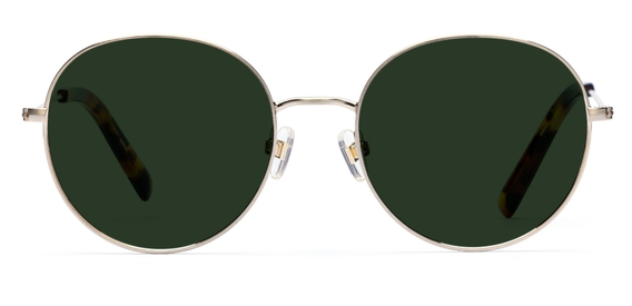 Robertson_Brushed Gold_Sunglasses_side_forweb