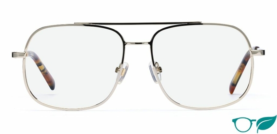 Sinclair Bright Gold Glasses front