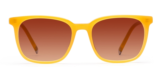 Stewart_Honey_Gradient_side_forweb.jpg