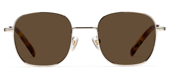 Taylor_Chrome_Gold_Sunglasses_side_forweb.jpg