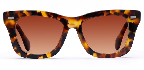 Forbes_Caramel Tortoise_Gradient_side_forweb.jpg