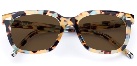 Inglis_WalnutTortoise_Sunglasses_folded_forweb.jpg