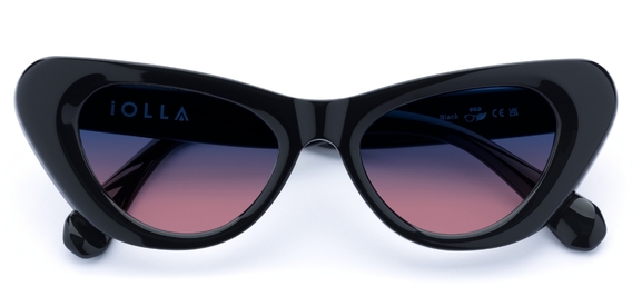 Kelly_Black_Sunglasses_folded_forweb.jpg